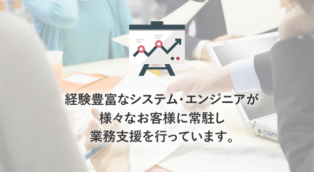 経験豊富なシステム・エンジニアが様々なお客様に常駐し業務支援を行っています。